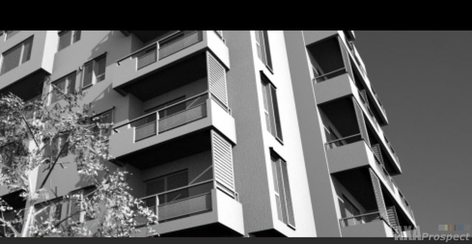 layout portofoliu.png