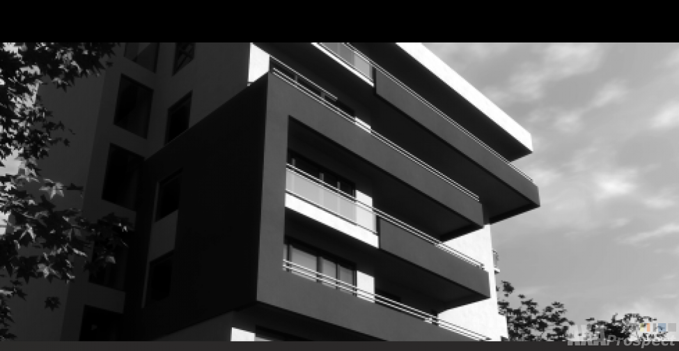 layout portofoliu.png